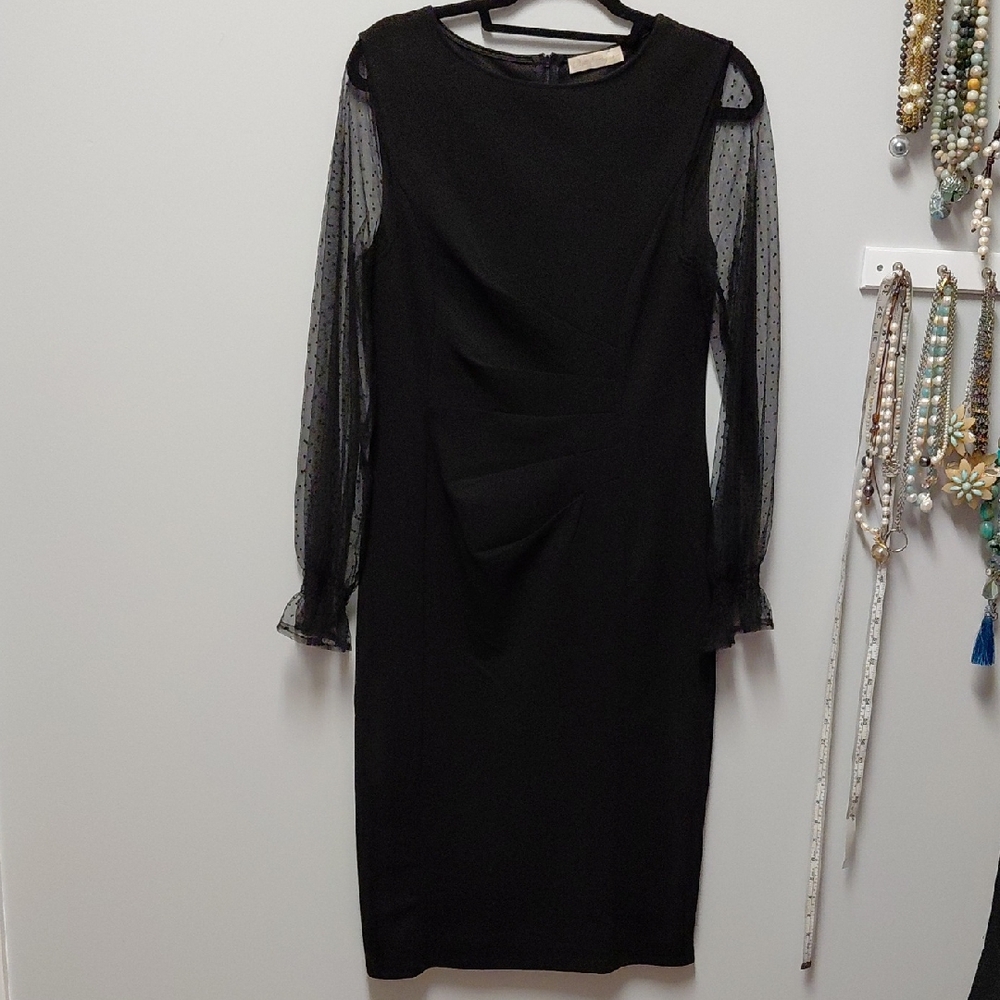 Elegant Black Dress with Sheer Sleeves